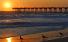 Summer wallpapers16